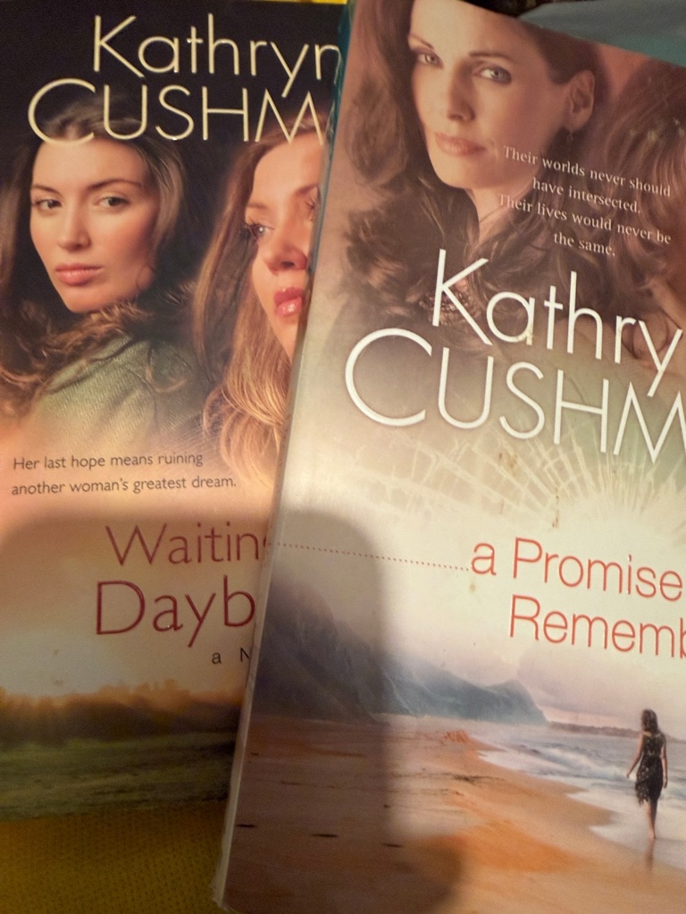 Paperback Novel - Cream and Tan Cover